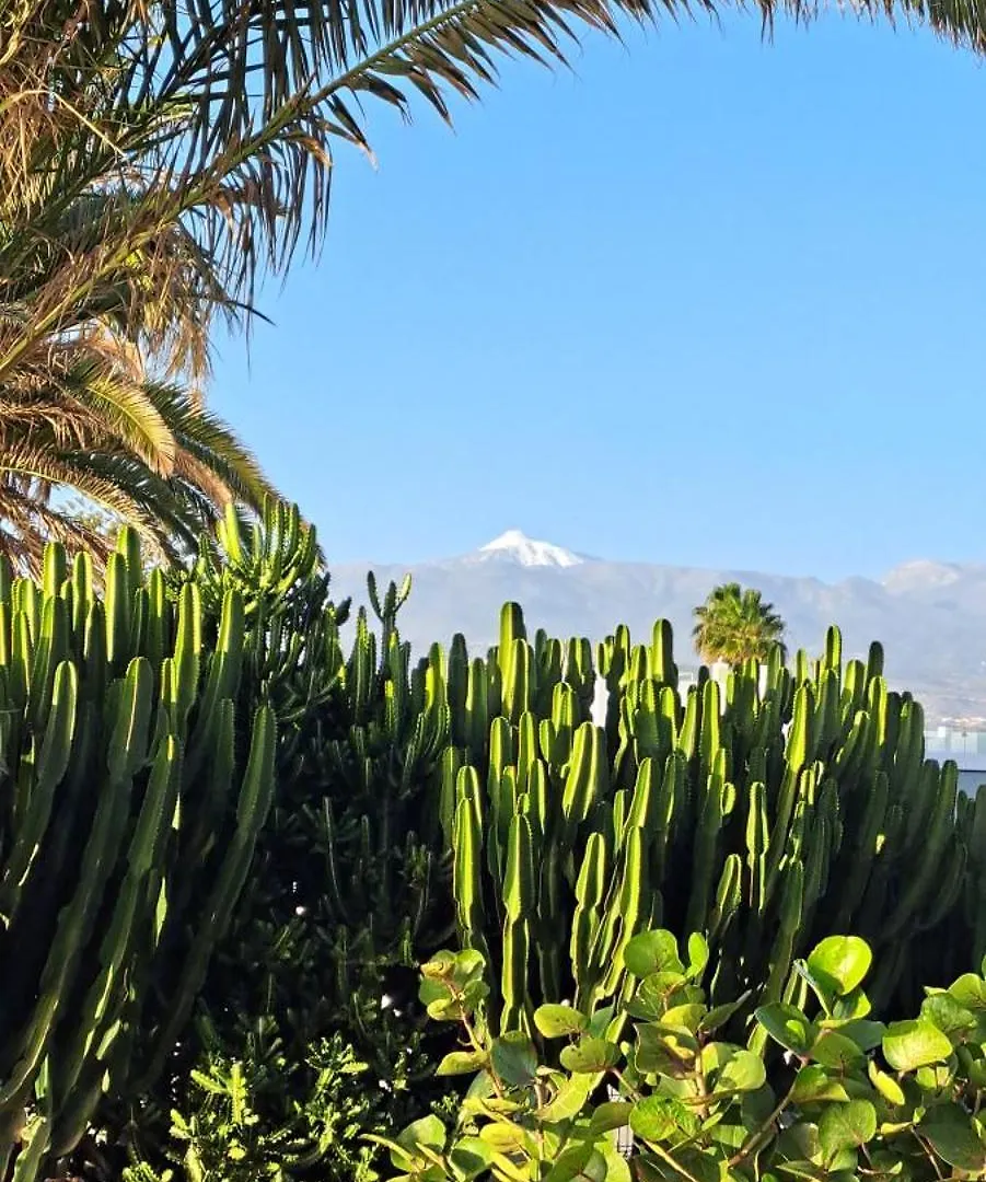 Casa Fragera Apartman Palm-mar